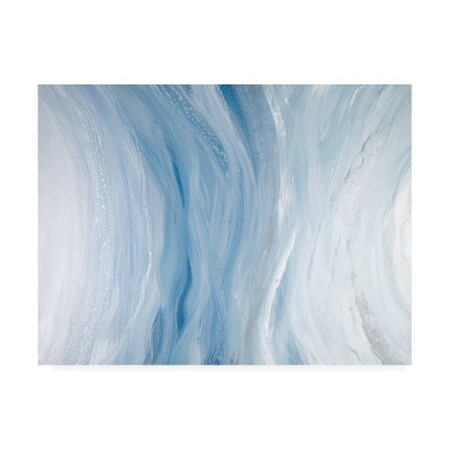 Trademark Fine Art Teodora Guererra 'Just Add Air Ii' Canvas Art, 24x32 WAG13852-C2432GG